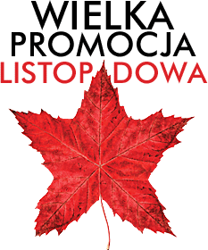 Wielka promocja listopadowa